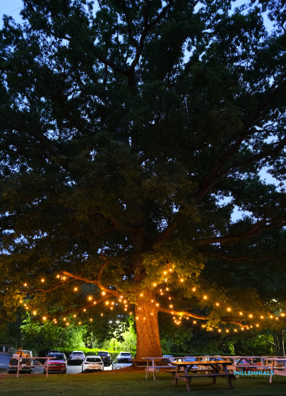 Crazy Wedding — photo 33