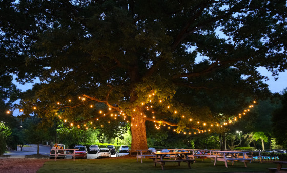 Crazy Wedding — photo 32